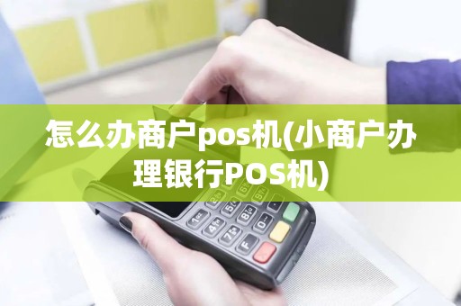 怎么办商户pos机(小商户办理银行POS机)