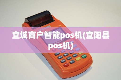 宜城商户智能pos机(宜阳县pos机)