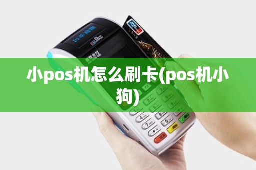 小pos机怎么刷卡(pos机小狗)