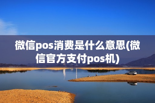 微信pos消费是什么意思(微信官方支付pos机)