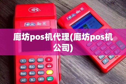 廊坊pos机代理(廊坊pos机公司)