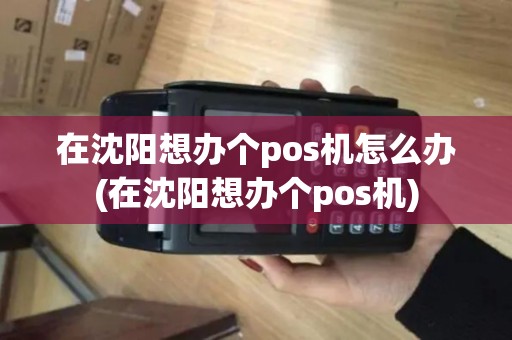 在沈阳想办个pos机怎么办(在沈阳想办个pos机)