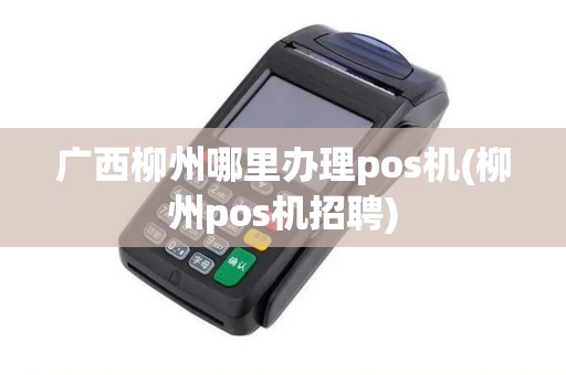 广西柳州哪里办理pos机(柳州pos机招聘)