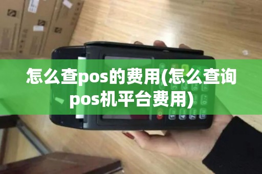 怎么查pos的费用(怎么查询pos机平台费用)