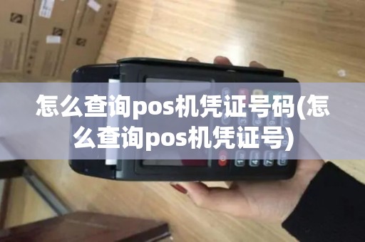 怎么查询pos机凭证号码(怎么查询pos机凭证号)