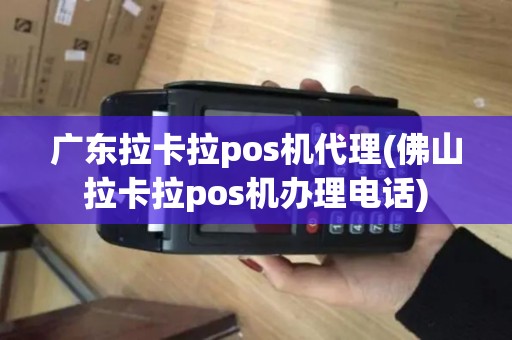 广东拉卡拉pos机代理(佛山拉卡拉pos机办理电话)