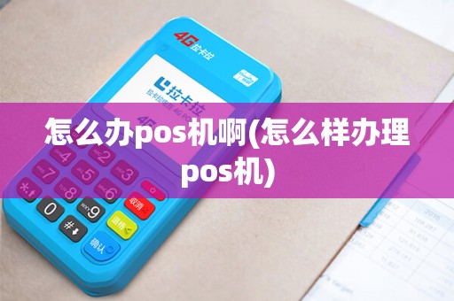 怎么办pos机啊(怎么样办理pos机)