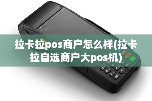 拉卡拉pos商户怎么样(拉卡拉自选商户大pos机)