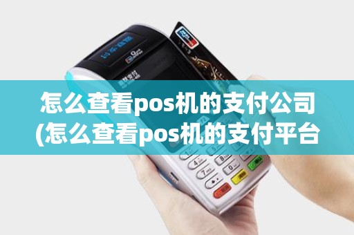 怎么查看pos机的支付公司(怎么查看pos机的支付平台)
