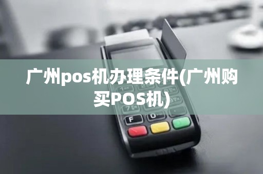 广州pos机办理条件(广州购买POS机)