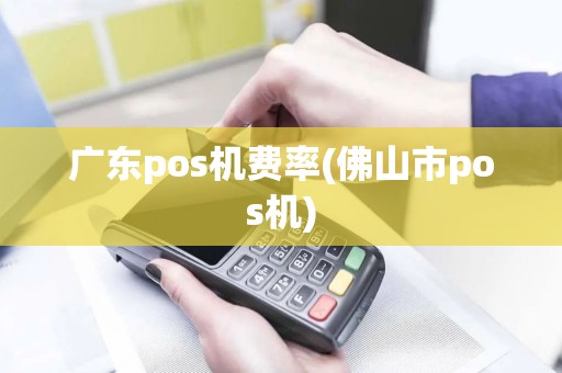 广东pos机费率(佛山市pos机)