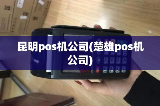 昆明pos机公司(楚雄pos机公司)