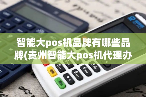 智能大pos机品牌有哪些品牌(贵州智能大pos机代理办理)