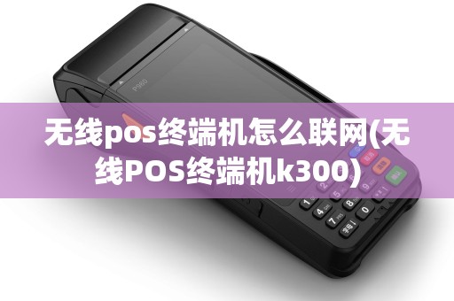 无线pos终端机怎么联网(无线POS终端机k300)