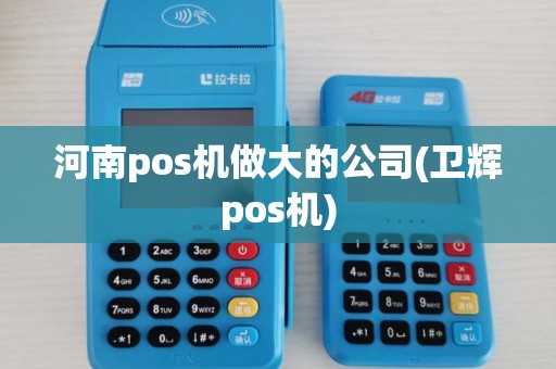 河南pos机做大的公司(卫辉pos机)