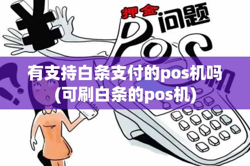 有支持白条支付的pos机吗(可刷白条的pos机)