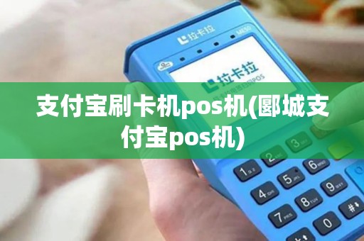 支付宝刷卡机pos机(郾城支付宝pos机)