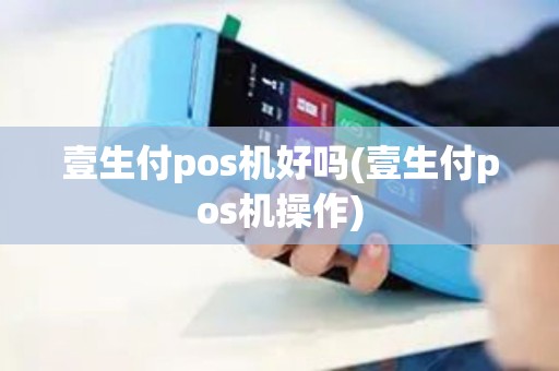壹生付pos机好吗(壹生付pos机操作)