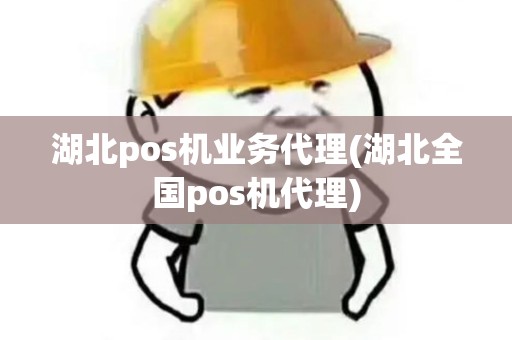 湖北pos机业务代理(湖北全国pos机代理)
