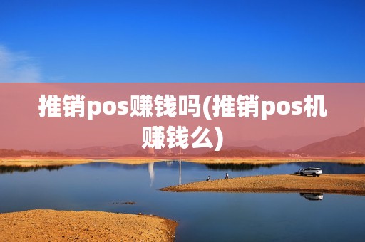 推销pos赚钱吗(推销pos机赚钱么)