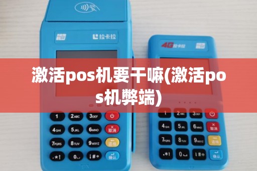 激活pos机要干嘛(激活pos机弊端)