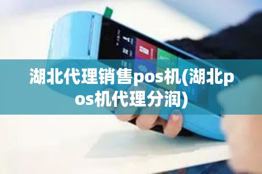 湖北代理销售pos机(湖北pos机代理分润)