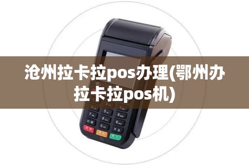 沧州拉卡拉pos办理(鄂州办拉卡拉pos机)