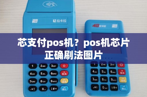 芯支付pos机？pos机芯片正确刷法图片
