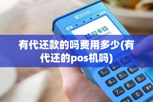 有代还款的吗费用多少(有代还的pos机吗)