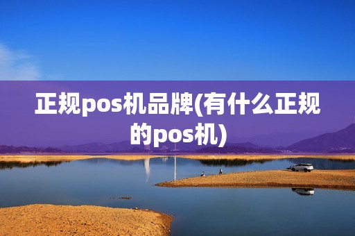 正规pos机品牌(有什么正规的pos机)