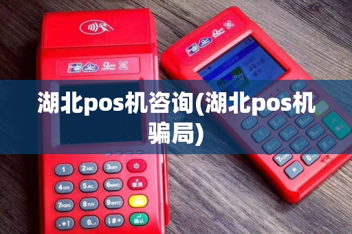 湖北pos机咨询(湖北pos机骗局)