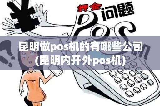 昆明做pos机的有哪些公司(昆明内开外pos机)