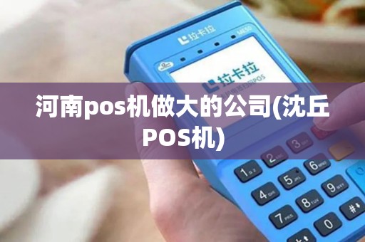 河南pos机做大的公司(沈丘POS机)