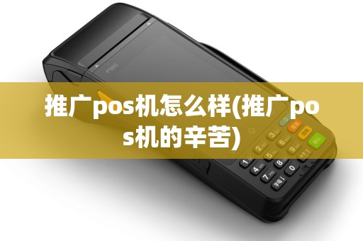 推广pos机怎么样(推广pos机的辛苦)