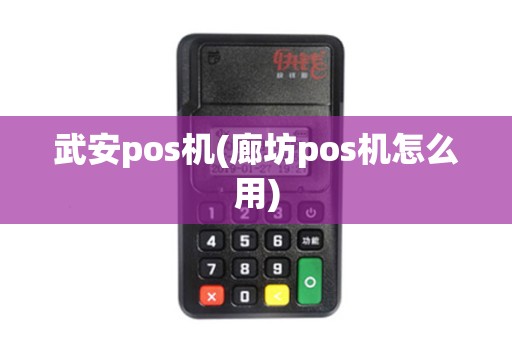 武安pos机(廊坊pos机怎么用)