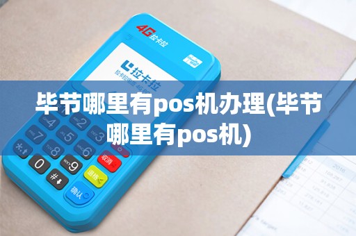 毕节哪里有pos机办理(毕节哪里有pos机)