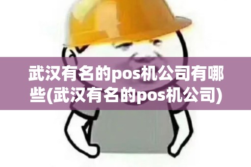 武汉有名的pos机公司有哪些(武汉有名的pos机公司)