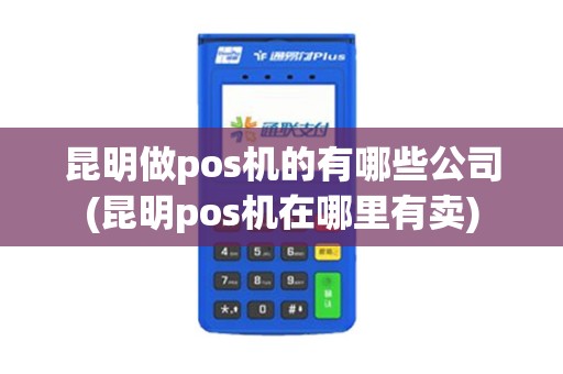昆明做pos机的有哪些公司(昆明pos机在哪里有卖)