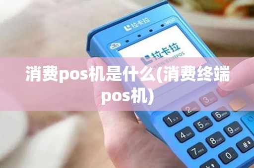 消费pos机是什么(消费终端pos机)