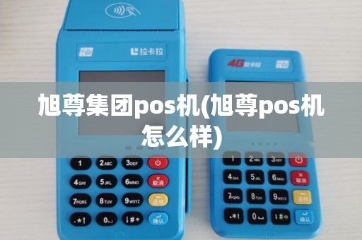 旭尊集团pos机(旭尊pos机怎么样)