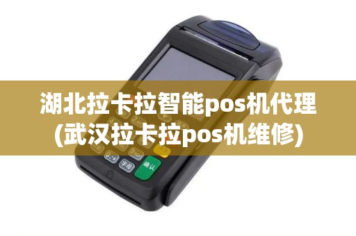 湖北拉卡拉智能pos机代理(武汉拉卡拉pos机维修)