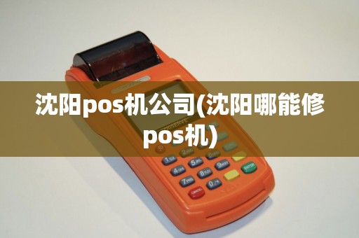沈阳pos机公司(沈阳哪能修pos机)