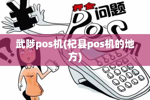 武陟pos机(杞县pos机的地方)