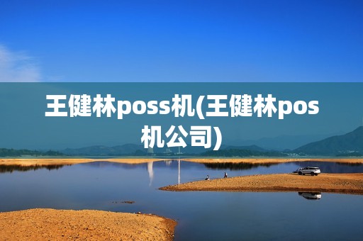 王健林poss机(王健林pos机公司)