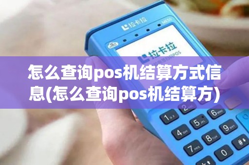 怎么查询pos机结算方式信息(怎么查询pos机结算方)