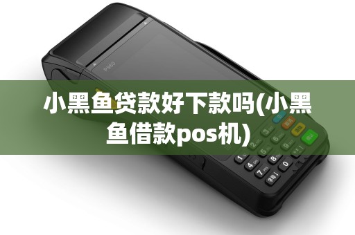 小黑鱼贷款好下款吗(小黑鱼借款pos机)