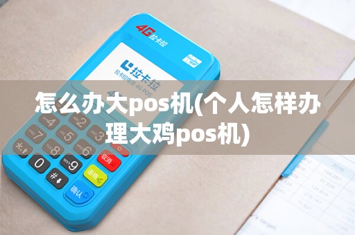 怎么办大pos机(个人怎样办理大鸡pos机)