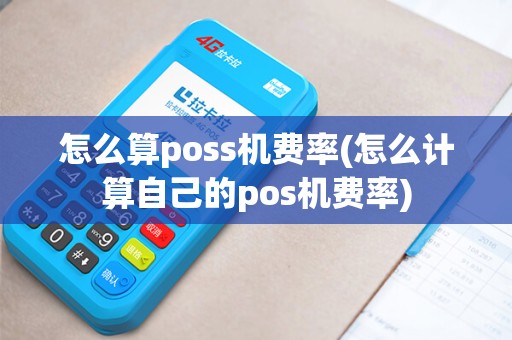 怎么算poss机费率(怎么计算自己的pos机费率)