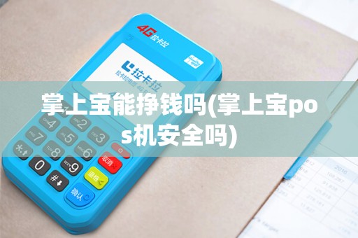 掌上宝能挣钱吗(掌上宝pos机安全吗)