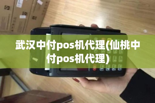 武汉中付pos机代理(仙桃中付pos机代理)